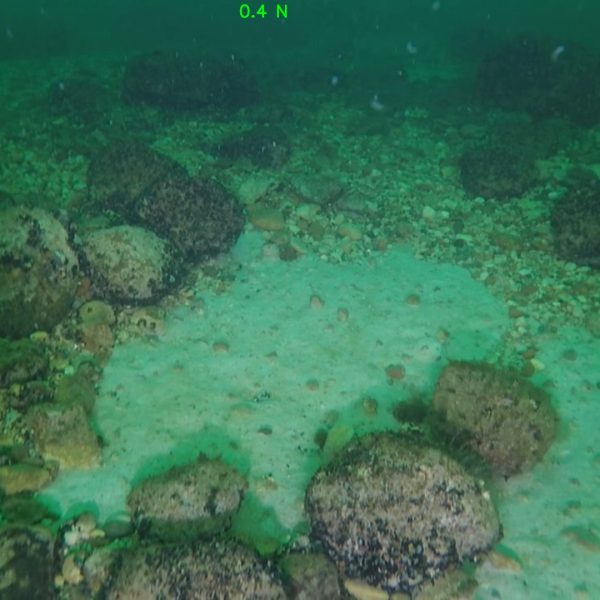 ALPHAROV D150 Remotely operated vehicle EPRONS ROV underwater drone (6)